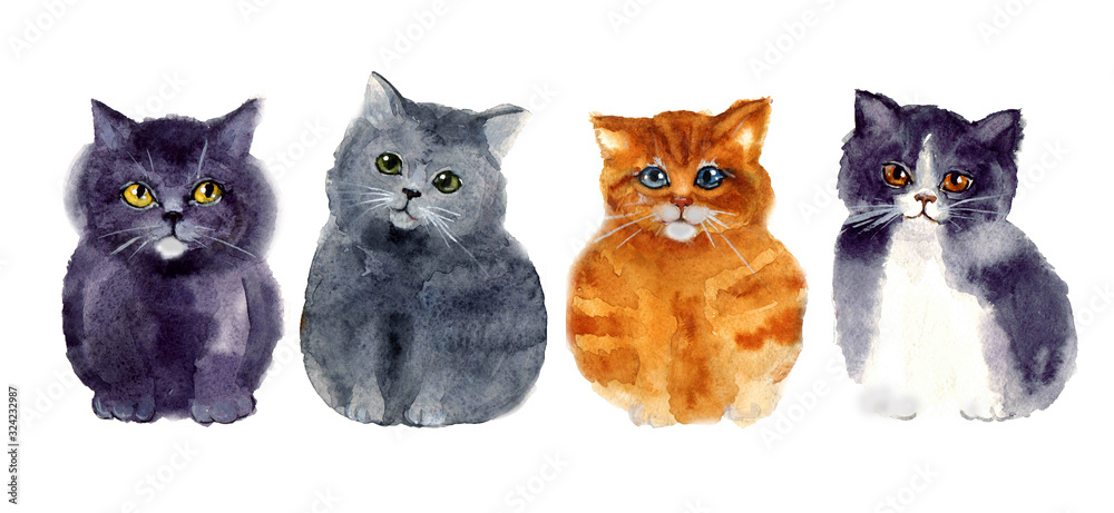 Cute watercolor set cat on the white background Cute watercolor set cat on the white background
