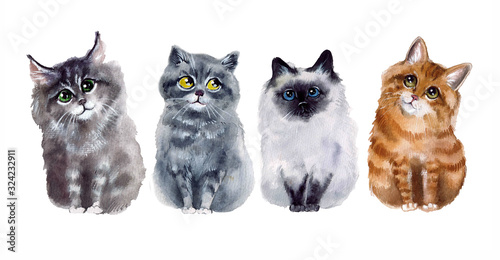 Watercolor cute set cats on the white background