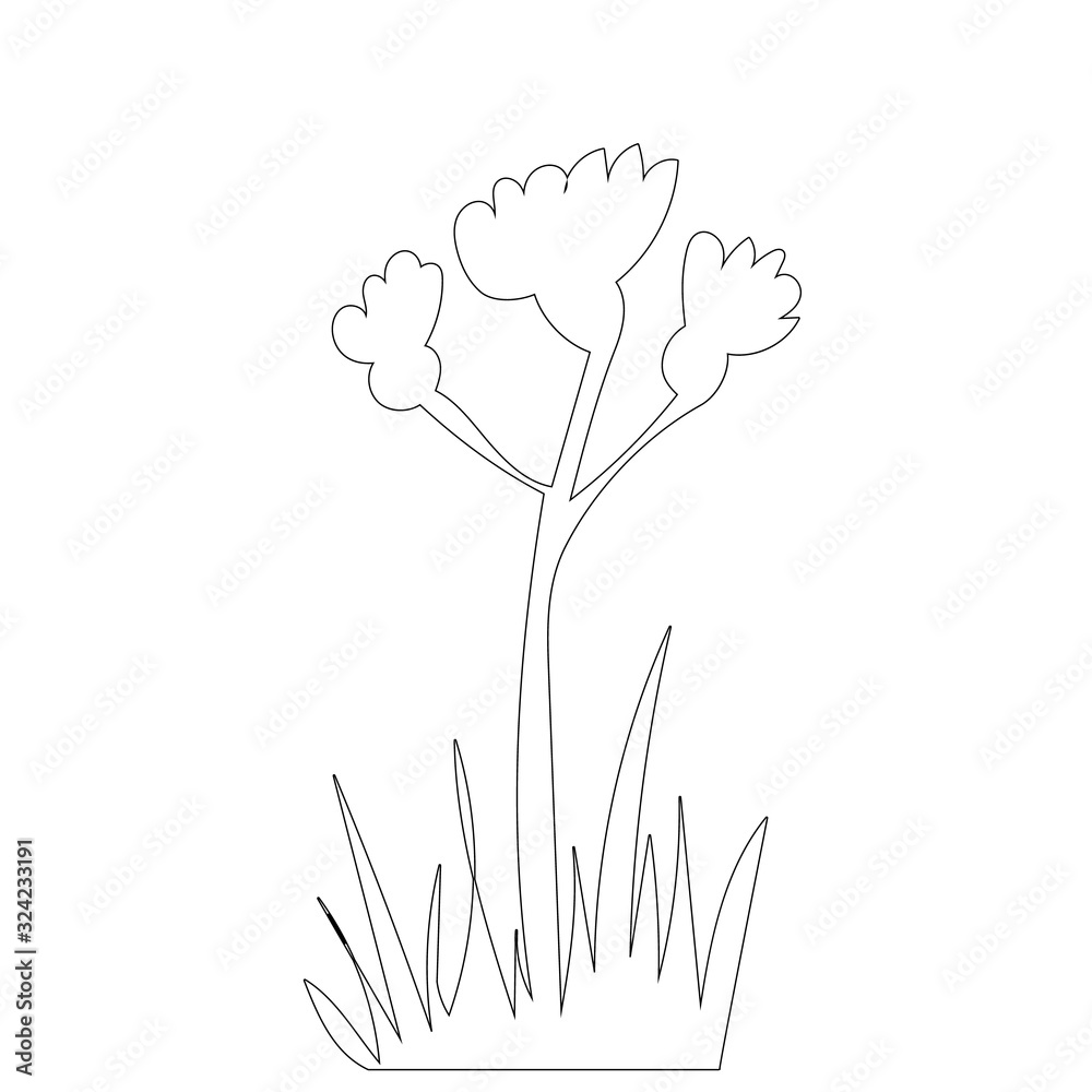 vector, isolated, contour flower and grass grow vector, isolated, contour flower and grass grow