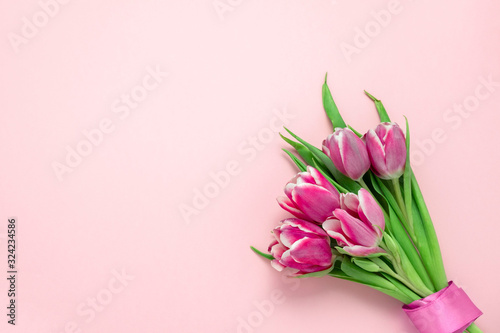 top view flat lay cute pink tulips with silk ribbon on a soft pink background with copy space, spring holidays card concept © dvulikaia