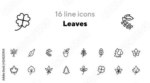 Leaves line icon set. Maple, oak, fir tree. Nature concept. Can be used for topics like forest, park, ecology