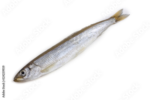 Smelt fish isolated on white