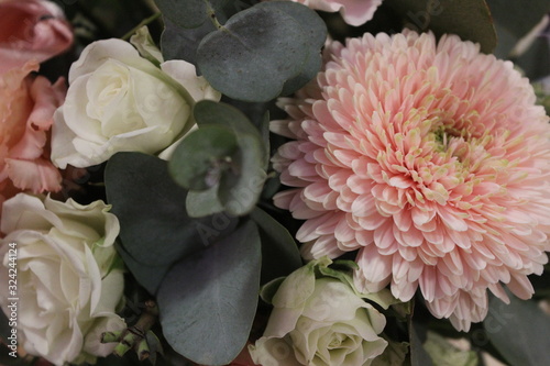 flower bouquet rose chrysanthemum nature sheet