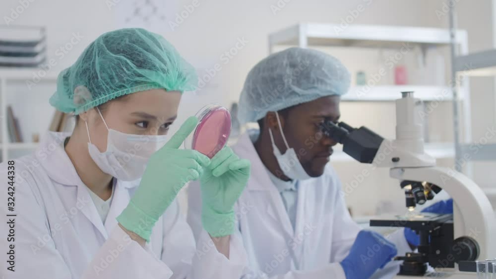 Lockdown of African man using microscope while Asian woman sitting nearby in lab holding petri dish and looking at it Lockdown of African man using microscope while Asian woman sitting nearby in lab holding petri dish and looking at it