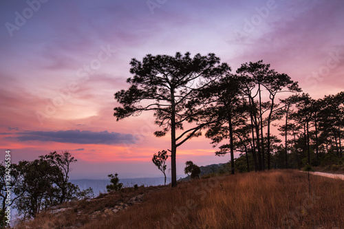 Beautiful sunset on the high mountain in Phu-kra-dueng national park Loei province  Thailand.