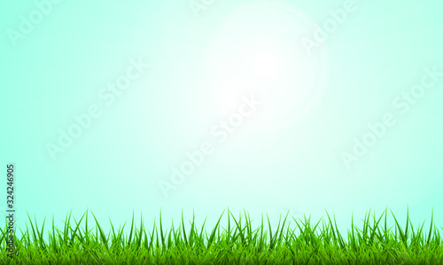 Fond Printemps Herbe Ciel