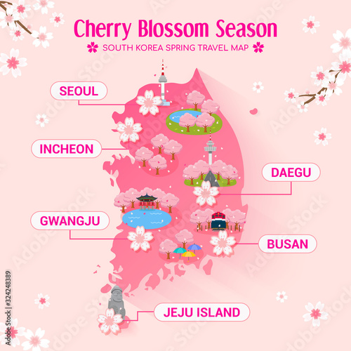 South Korea Cherry blossom season travel map vector illustration. Sakura festival travel attraction.