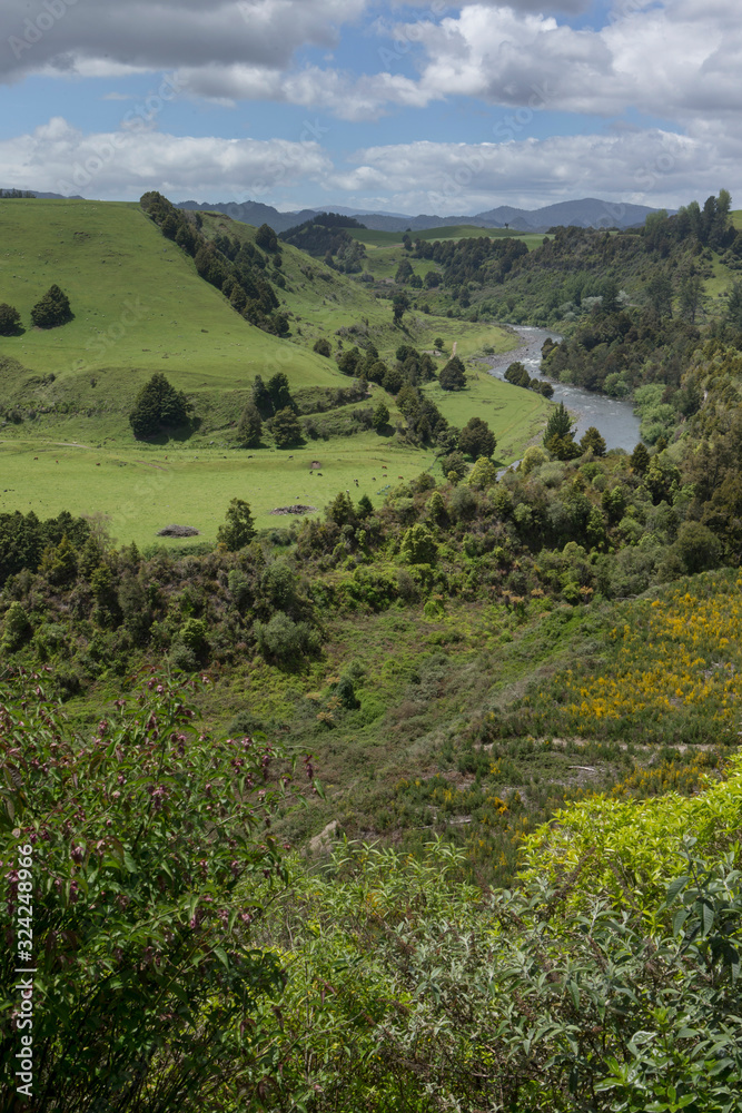 New Zealand. Piriaka lookout. Hills and meadows