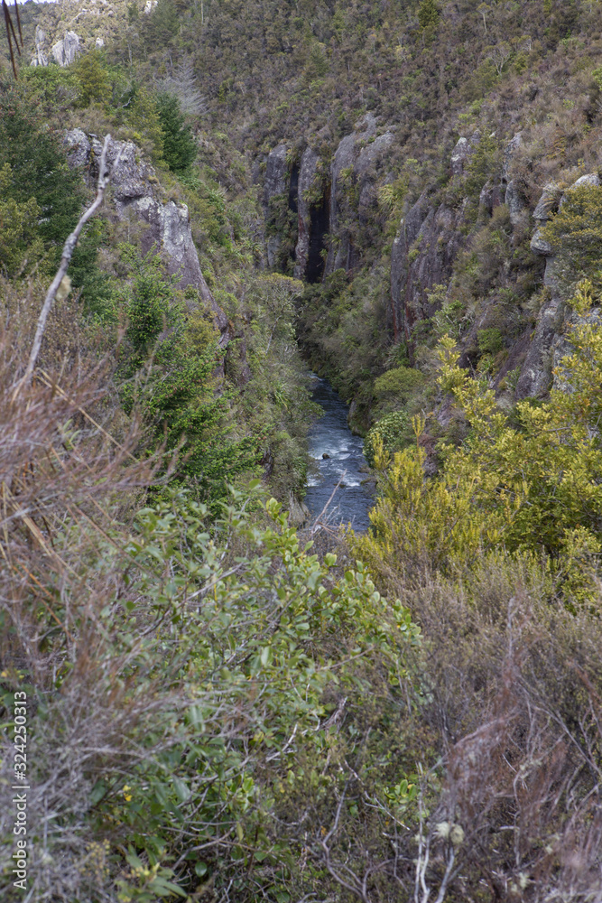 Waihaha. Near Lake Taupo. New Zealand. Forest. Waihaha. Near Lake Taupo. New Zealand. Forest.