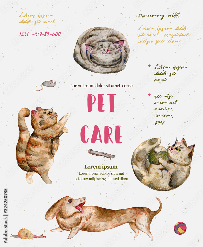 Pet care banner with watercolor cats and dogs. Vet service, cats and dogs  care, animals health care, hospital advertising poster design. Hand drawn  illustration Stock Illustration | Adobe Stock
