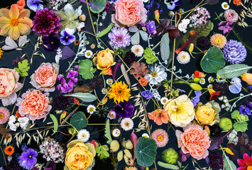 Multicolored floral on the water ,black background ,selective focus
