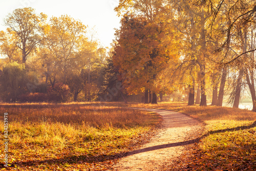Footpath in a beautiful colorful autumn park