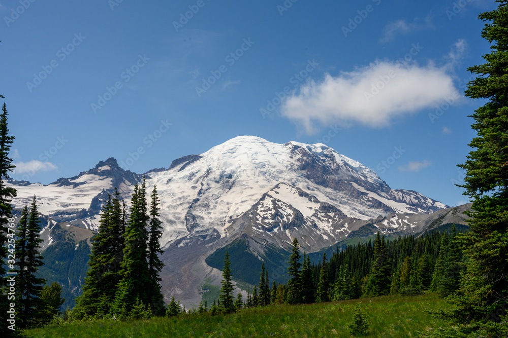 View of Mount Rainier from Summerland Hiking Area