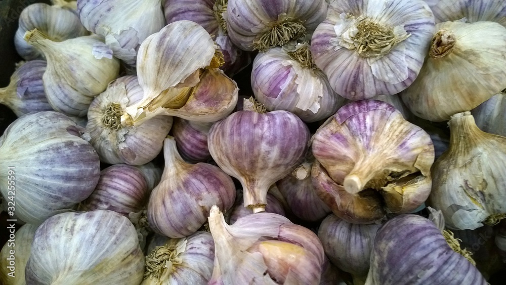 Garlic background. Folk home medicine for flu, colds, cough, runny nose, SARS, virus. Allium sativum is a species in the onion genus. Used in culinary for its pungent flavor as seasoning or condiment Garlic background. Folk home medicine for flu, colds, cough, runny nose, SARS, virus. Allium sativum is a species in the onion genus. Used in culinary for its pungent flavor as seasoning or condiment