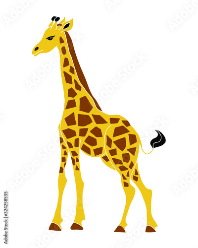 Giraffe vector illustration, cartoon style, print for baby and kid products design