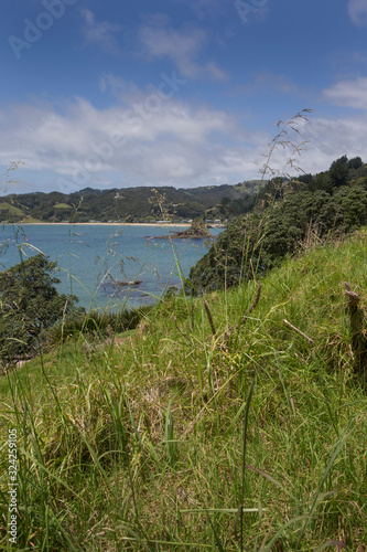 Tauranga Bay. Bay of islands New Zewaland