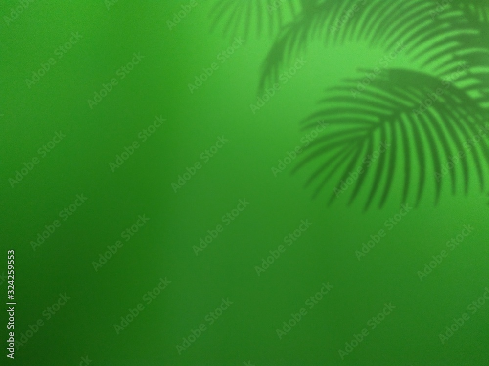 shadow leaf on green background