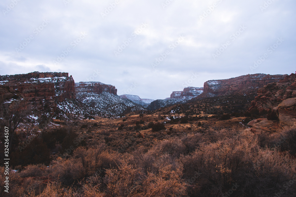 View of Colorado Canyon
