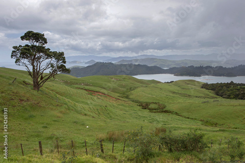 Coromendel coast New Zealand photo