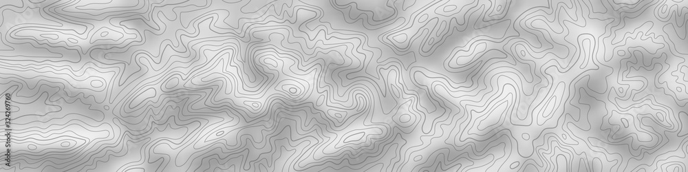 Imitation of a geographical map, black lines on gray background, vector design Imitation of a geographical map, black lines on gray background, vector design