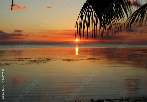 Breathtaking sunset colors reflected in the sea framed by palm leaves