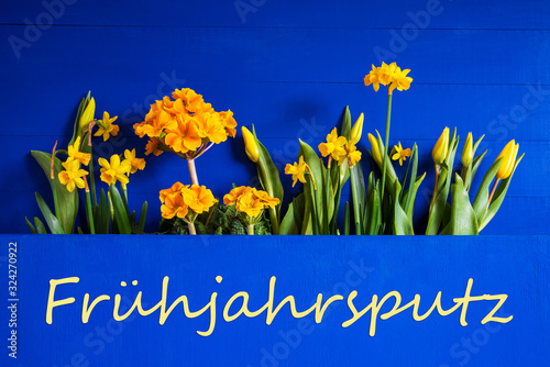 German Text Fruehjahrsputz Means Spring Cleaning. Yellow Beautiful Spring Flowers Like Tulip And Narcissus. Blue Wooden Background photo