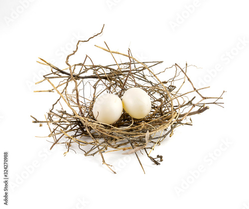 Two eggs of dove birds in brown dry grass nest, low angle, isolated on white background.