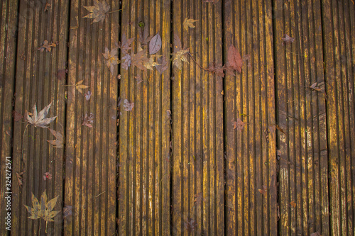 Fallen leaf laying on rustic wooden decking.  Autumn / fall concept with copy space