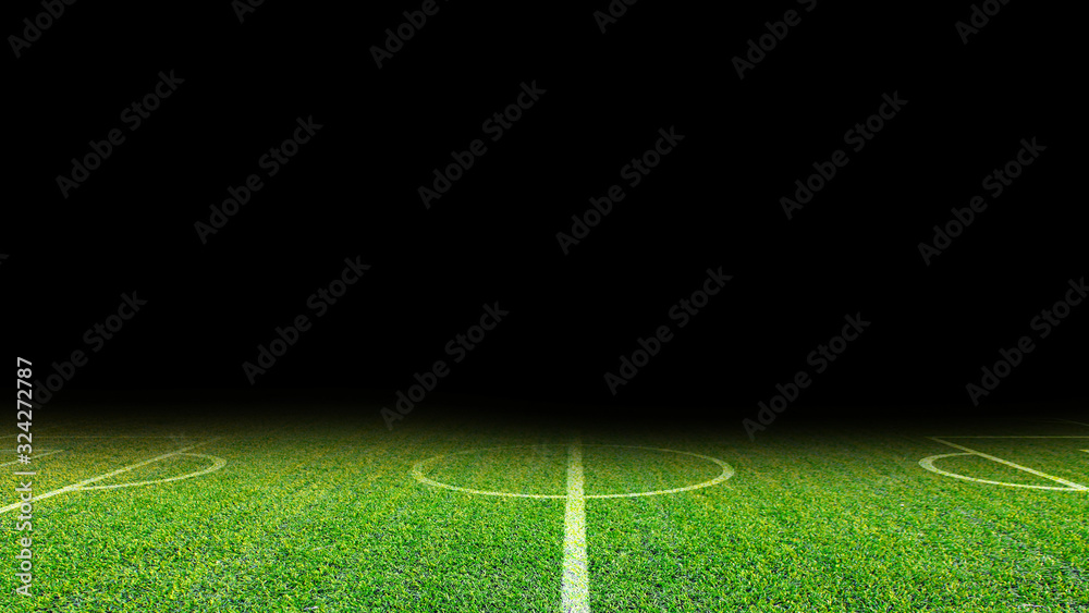 Detailed green soccer field grass texture