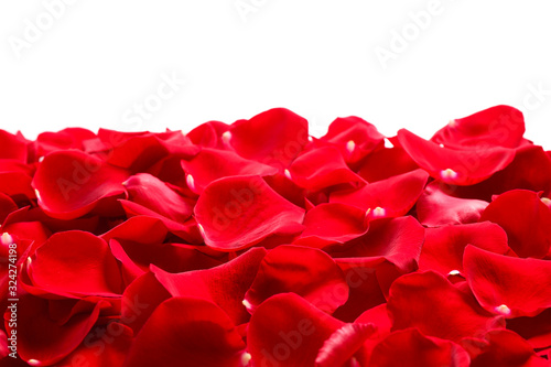 Fototapeta Naklejka Na Ścianę i Meble -  Pile of red rose petals on white background