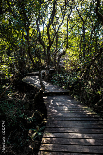 Wooden walkway in country side of Hong Kong