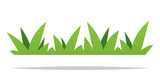 Green grass vector isolated design