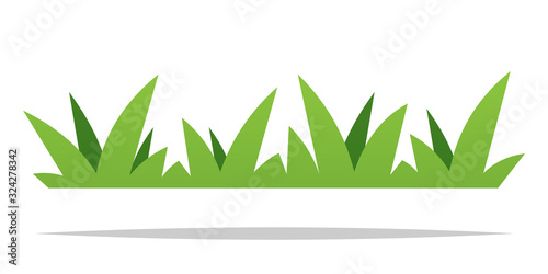 Obraz na płótnie Green grass vector isolated design