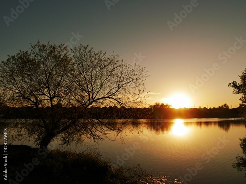 Breathtaking sunset reflected in the waters of a lake, with the silhouette of trees