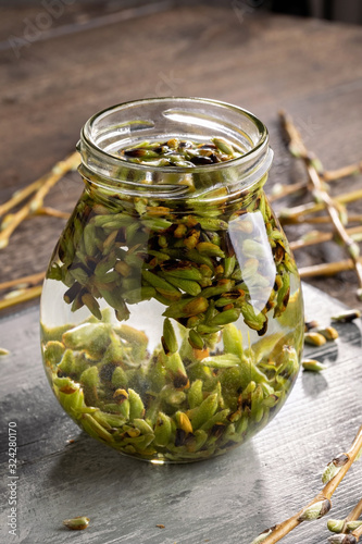 Preparation of a gemmotherapy tincture from white willow buds photo