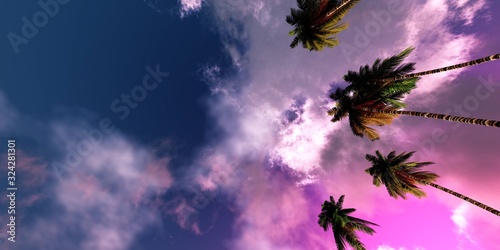 Beautiful sky with palm trees, sky with clouds in the sunset light