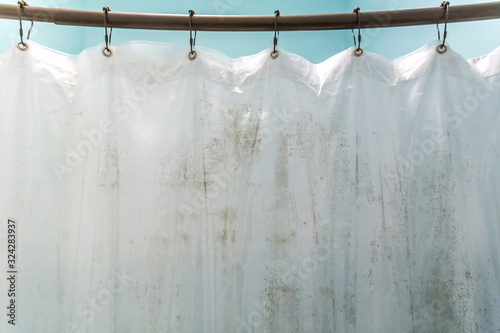 Dark brown mildew mold on plastic interior shower curtain in a light aqua bathroom photo