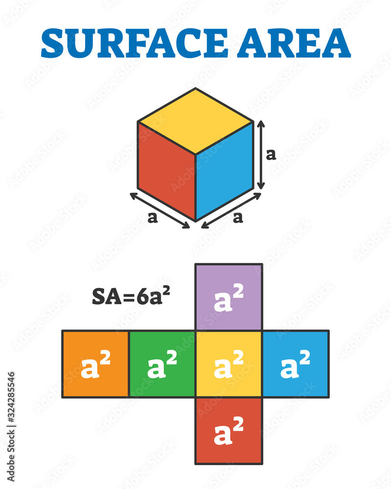 Surface area measurement example, flat vector illustration diagram