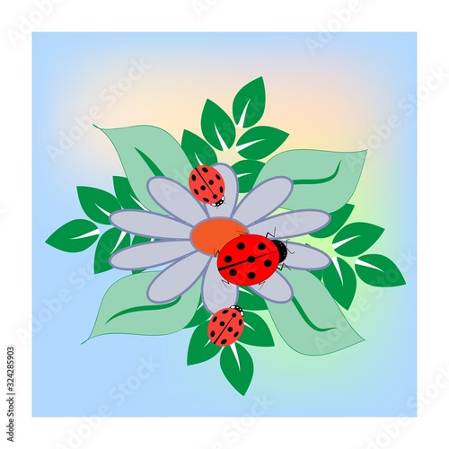 Ladybirds in square. Illustration ladybug on flower. Cute colorful sign red insect symbol spring, summer, garden. Template for t shirt, apparel, card, poster. Design element. Vector illustration.
