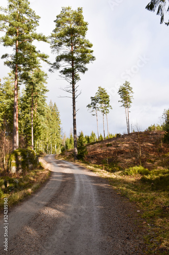 Curvy gravel road