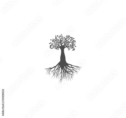 Gray vector icon tree of life with dense roots close-up