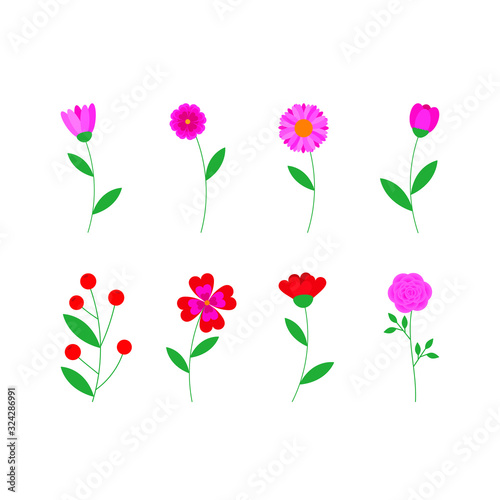 A cute vector set of flowers isolated on white background. Flat style.
