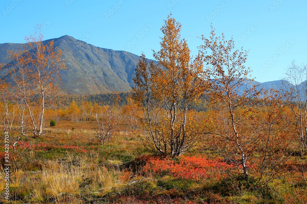 Fototapeta premium lake valley Bol'shoy Vud