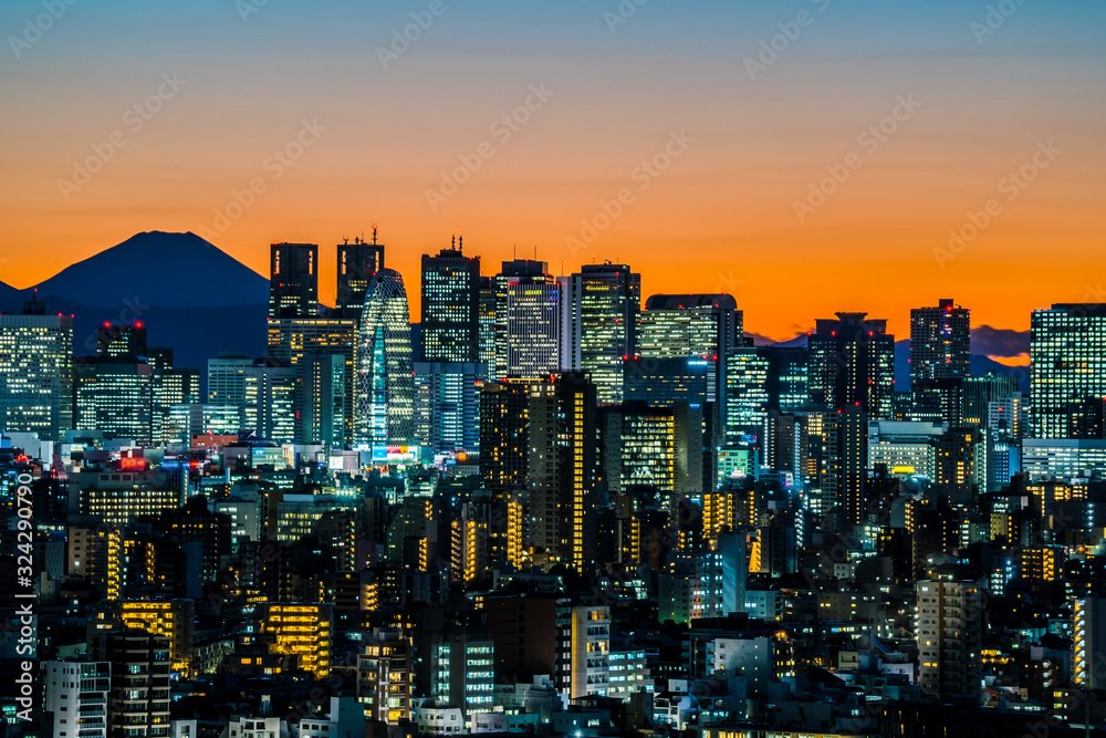 東京 夕焼け 新宿の高層ビルと富士山