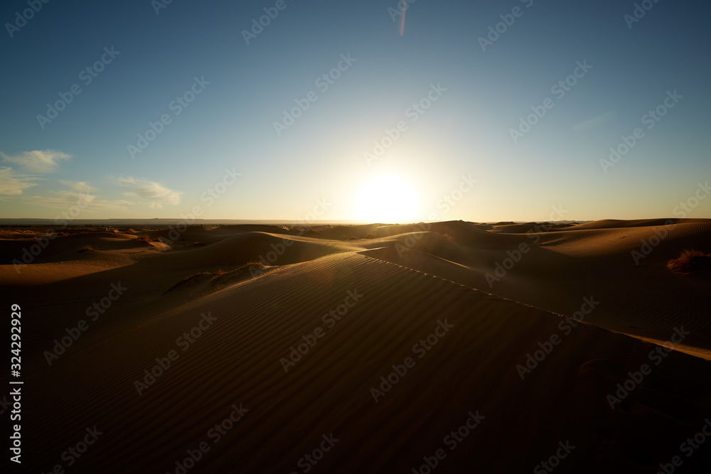 Desert dunes in the morning 4