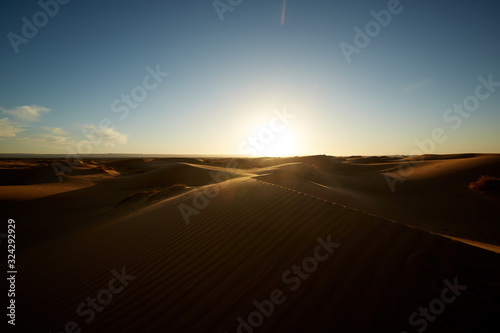 Desert dunes in the morning 4