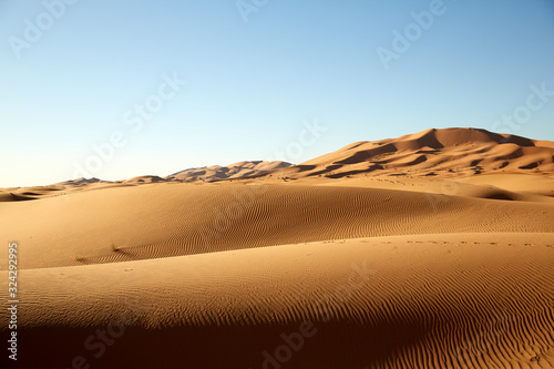 Desert dunes in the morning 5