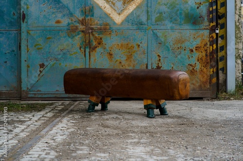 фотографія The legs of this pommel horse from the former Czechoslovakia were shortened to a seat height of 54cm