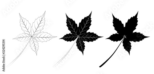 Vector set of grape leaves, outline and silhouette.