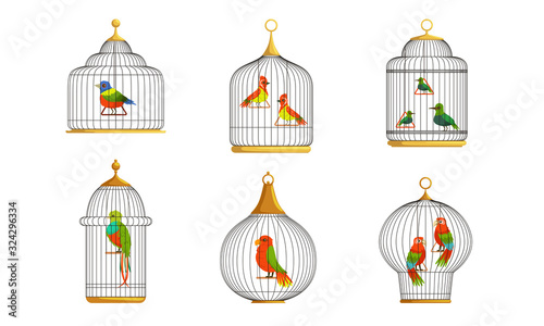 Colorful Parrots in Cages Collection, Cute Birds in Birdcages Vector Illustration on White Background